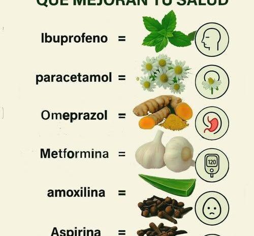 Hierbas que Curan: Recetas Ancestrales para tu Bienestar Diario