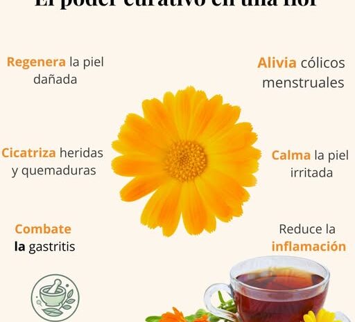 Caléndula: El poder curativo en una flor