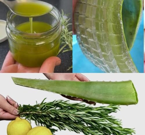 Beneficios del Aloe Vera y Romero: Elimina Toxinas y Hongos de Tu Cuerpo