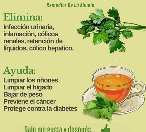 Hojas de Perejil: El Superalimento que Transforma Tu Salud
