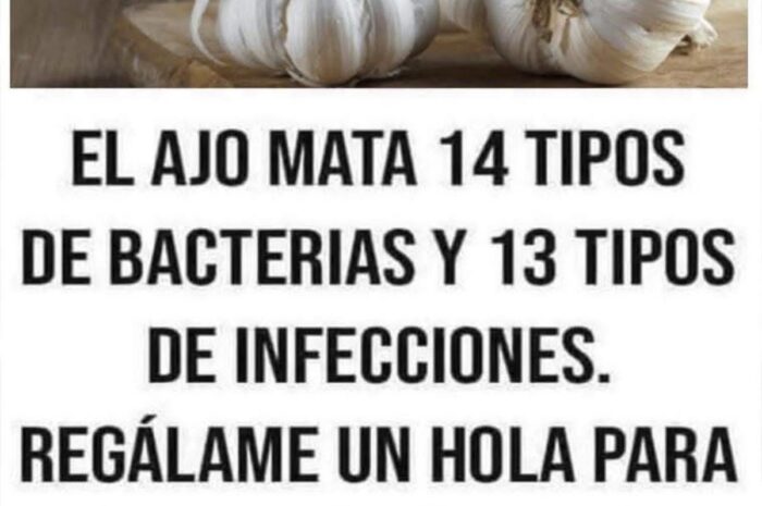 El Poder del Ajo: Un Aliado Natural contra Bacterias e Infecciones