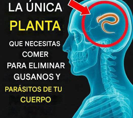 Elimina Gusanos y Parásitos de Tu Cuerpo con Esta Potente Planta