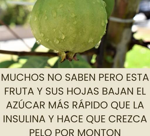 Guayaba: El Tesoro Natural que Mejora tu Salud y Belleza