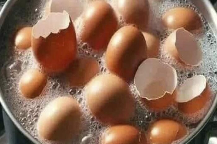 No los botes más: Hierve las cáscaras de huevo y dile adiós a problemas comunes