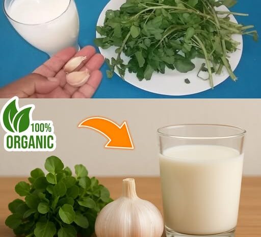La Bebida que Salvó Mis Pulmones: Receta Natural para la Salud Respiratoria