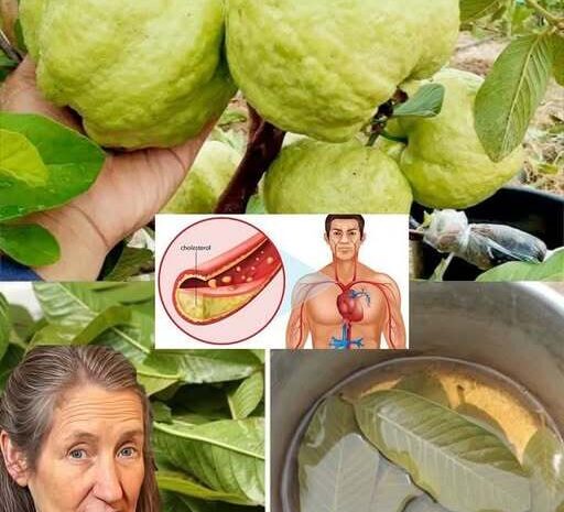 El Mejor Té: Beneficios del Ajo, Cúrcuma, Jengibre y Hojas de Guayaba