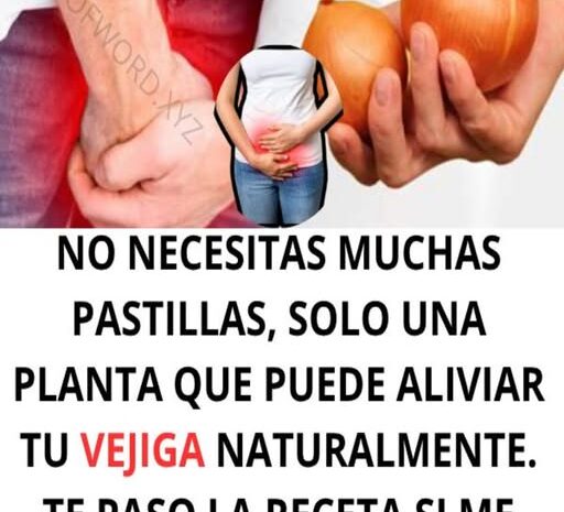 Mejora Tu Vejiga Naturalmente con Cebolla: Recetas y Consejos