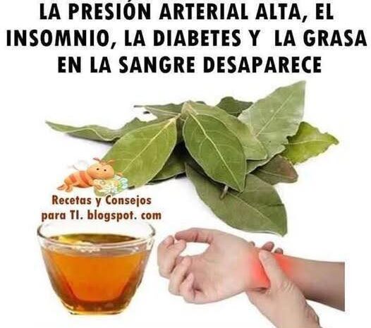 La Bendición de Dios: Propiedades del Laurel en la Salud Natural
