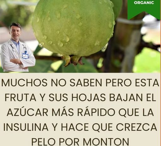 La Fruta Verde: Un Tesoro para Tu Salud