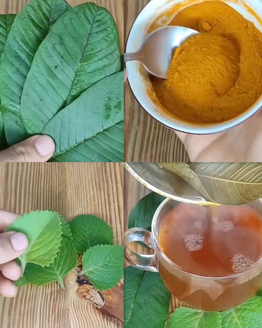 Preparación de té de hierbas
