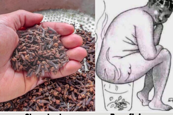 El Poder del Clavo de Olor: Beneficios y Remedios Naturales para la Salud