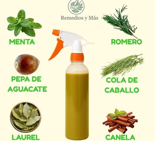 Remedio Natural para un Crecimiento Acelerado del Cabello