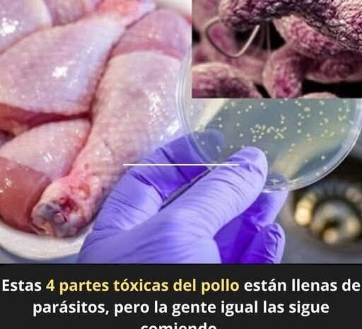 Las Partes Tóxicas del Pollo: Qué Debes Saber para Mantenerte Saludable
