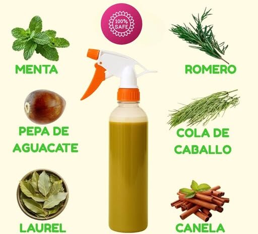 ¡Transforma Tu Cabello en Solo Un Mes con Este Spray Natural!