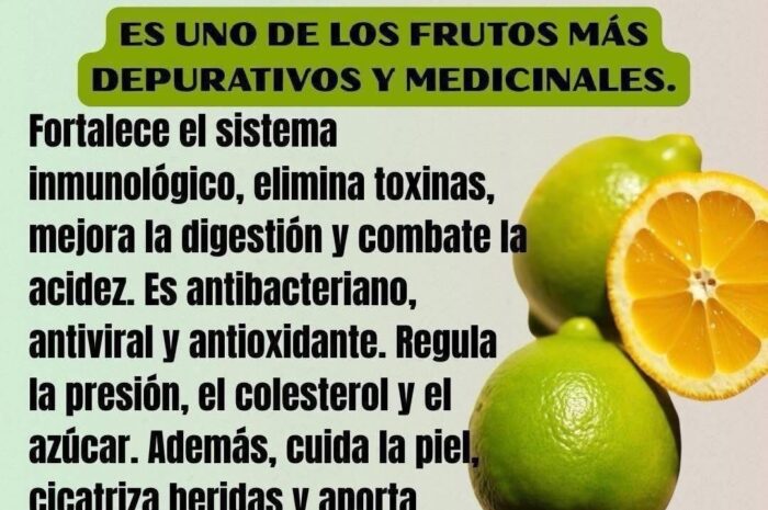 Los Asombrosos Beneficios del Limón y Recetas Naturales Para Tu Salud