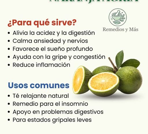 Descubre los Beneficios del Té de Cáscara de Naranja Agria: Un Remedio Natural para tu Bienestar
