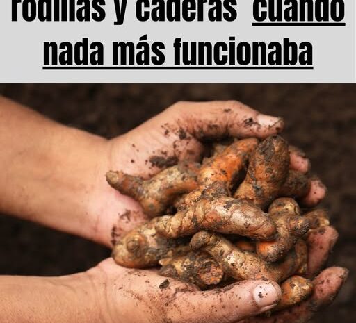 La Raíz Maravillosa: Alivio Natural para Dolores de Rodillas y Caderas