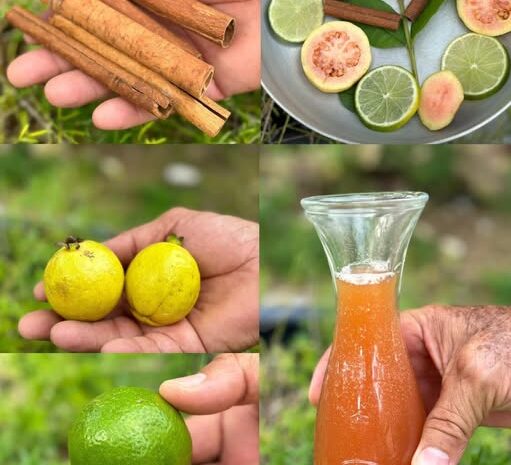 Té de Guayaba con Canela: Un Remedio Natural que Limpia, Sana y Fortalece tu Cuerpo