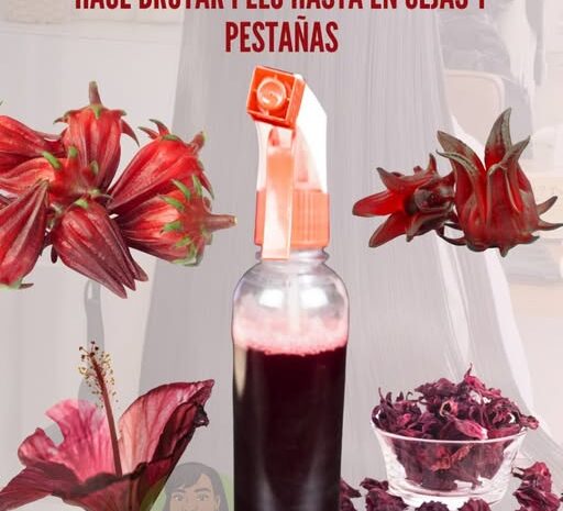 Tónico Casero de Flor de Jamaica: ¡Estimula el Crecimiento del Pelo en Cejas y Pestañas!