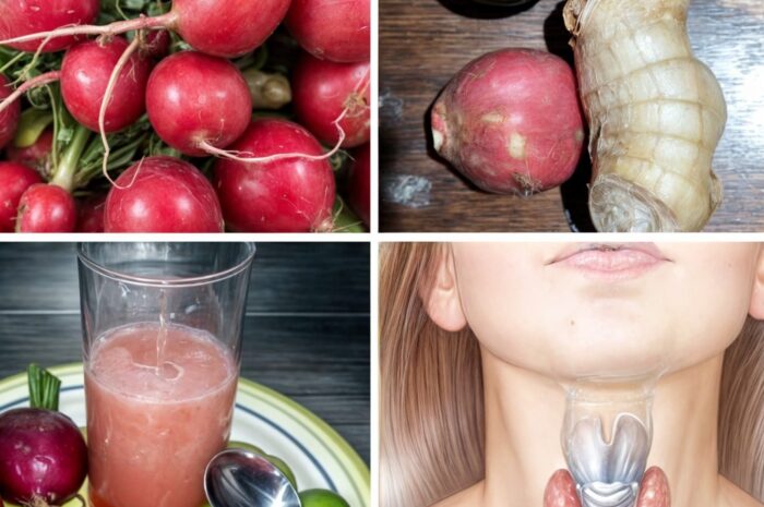 Rábanos, Jengibre y Miel: Claves Naturales para Mejorar la Tiroides y la Vesícula