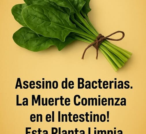 Espinacas: El Asesino Natural de Bacterias para tu Intestino