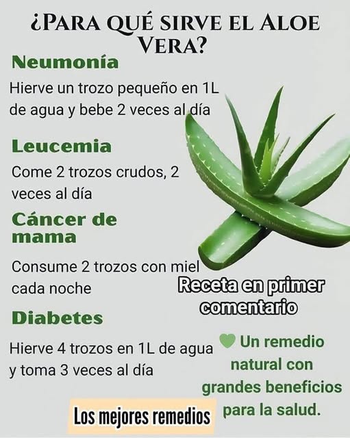 Beneficios del Aloe Vera para la Salud