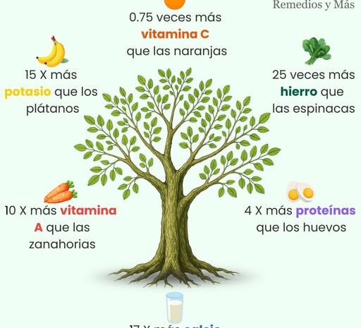 La Moringa: Superfood Nutricional y sus Beneficios para la Salud