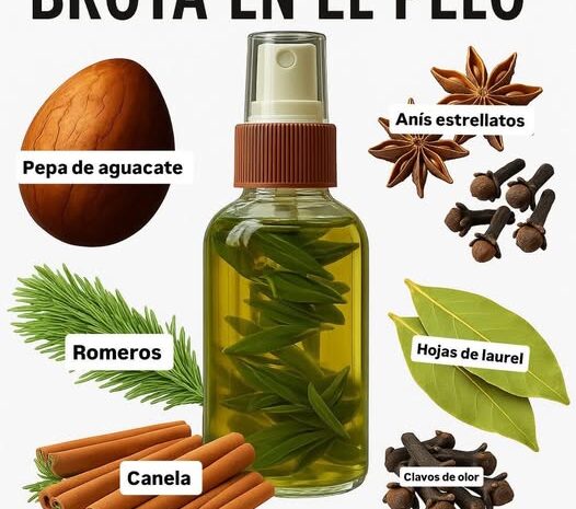 Estimula el Crecimiento del Cabello: Tónico Natural con Ingredientes Orgánicos