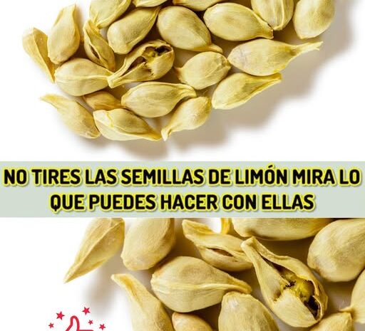 No Tires Las Semillas de Limón: Un Tesoro Nutricional y Remedios Caseros