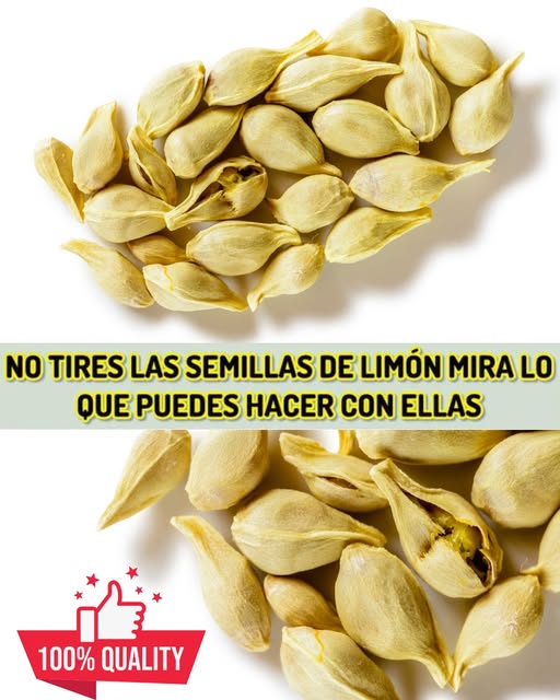 Semillas de limón
