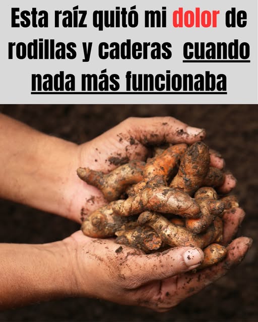 Raíces naturales para aliviar el dolor