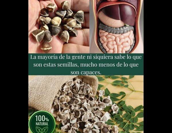 Descubre las Semillas de Moringa: Un Superalimento Natural para tu Salud