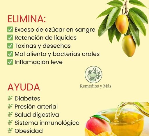 Las Hojas Milagrosas: Un Regalo de la Naturaleza para Tu Salud