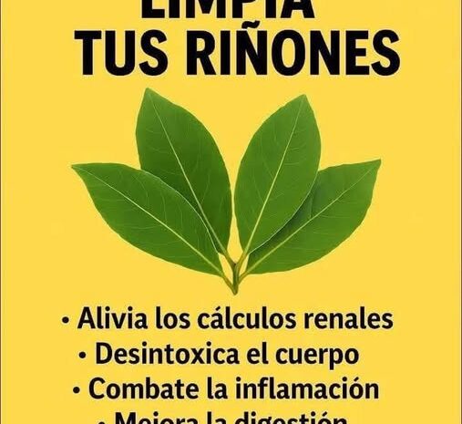 La Hoja de Níspero: El Secreto Milenario Asiático para una Salud Integral