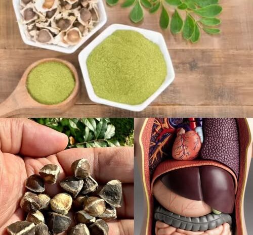El Poder de las Semillas de Moringa: 25 Beneficios y Formas Prácticas de Usarlas en Casa