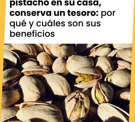 Descubre por qué las cáscaras de pistacho son un tesoro en tu hogar