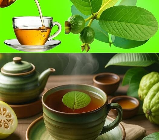 Té de Guayaba: La Bebida que Cuida tu Corazón, Mente y Cuerpo