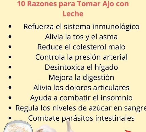 Los Increíbles Beneficios del Ajo en Leche: ¡10 Razones para Incluirlo en Tu Dieta!