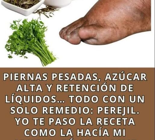 Revitaliza tu Energía: Descubre el Poder del Perejil como Remedio Natural