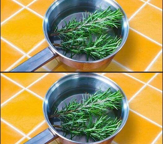 Hervir Romero con Hojas de Laurel: Un Remedio Natural Inigualable