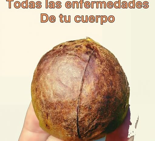La Semilla de Aguacate: Más de lo que Imaginabas para tu Salud