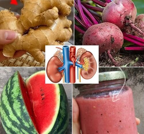 Desintoxicación Natural: Limpia tus Riñones en 15 Días con Esta Bebida
