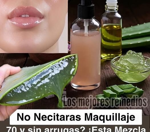Rejuvenece Tu Piel: La Magia del Aloe Vera y Remedios Naturales