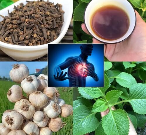 Limpia Tus Arterias: Remedios Naturales Para Los Problemas de Circulación
