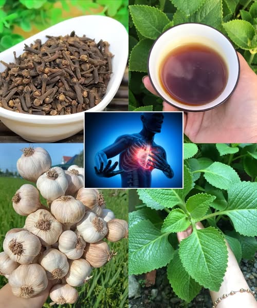 Elementos naturales para la salud cardiovascular