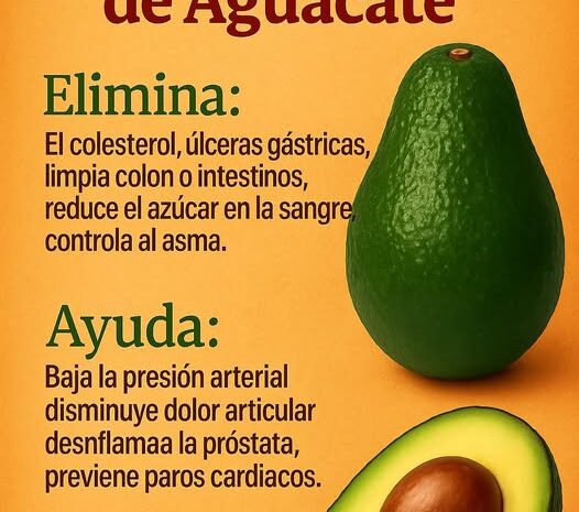 Propiedades del Té de Semilla de Aguacate: Un Remedio Natural