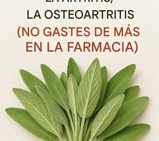 Todos los Usos de la Salvia: Un Tesoro de la Naturaleza para tu Salud
