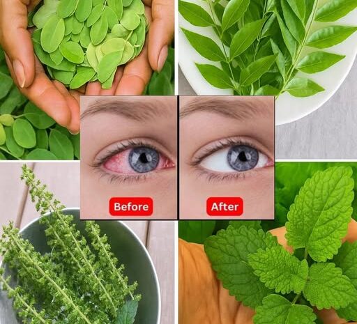 7 Hojas Esenciales para Mejorar Naturalmente la Salud de tus Ojos