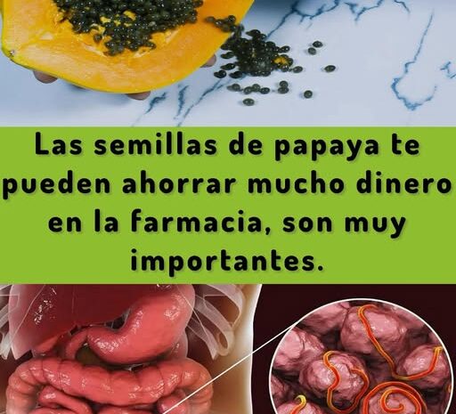 Descubre los Beneficios de las Semillas de Papaya: Remedios Naturales para tu Salud Digestiva