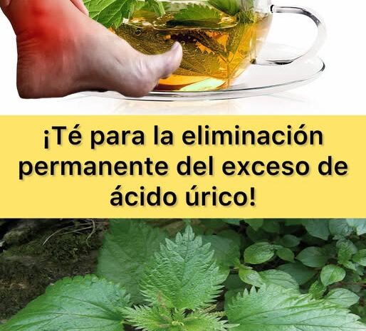 Té de Ortiga: Tu Aliado en la Eliminación del Exceso de Ácido Úrico
